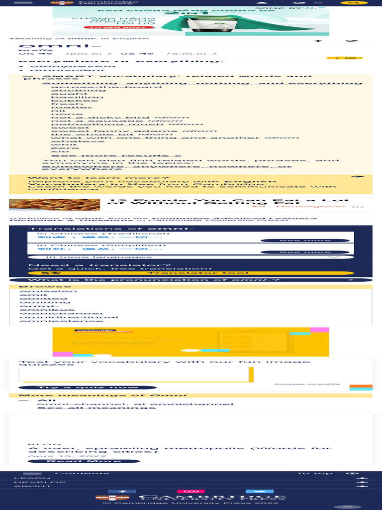 OMNI Meaning in The Cambridge English Dictionary PDF Vocabulary