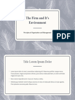 The Firm and It's Environment