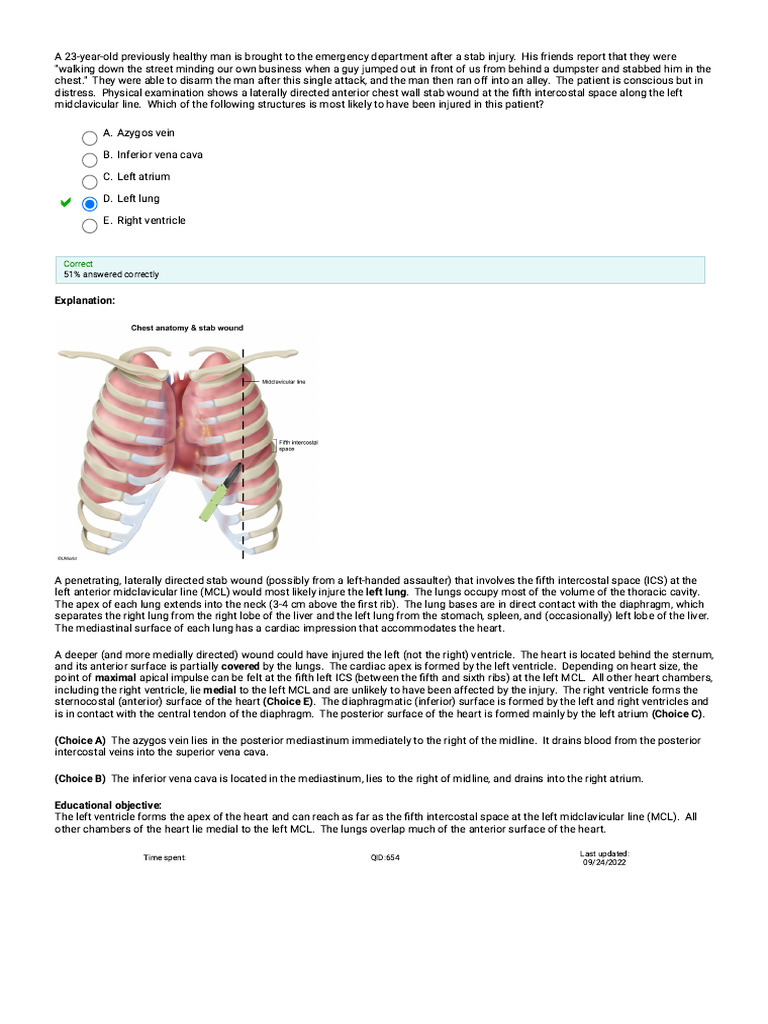 Anatomical Relationships of the Pancreas | PDF | Coronary Circulation ...