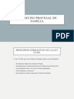 Principios Derecho Procesal de Familia-2