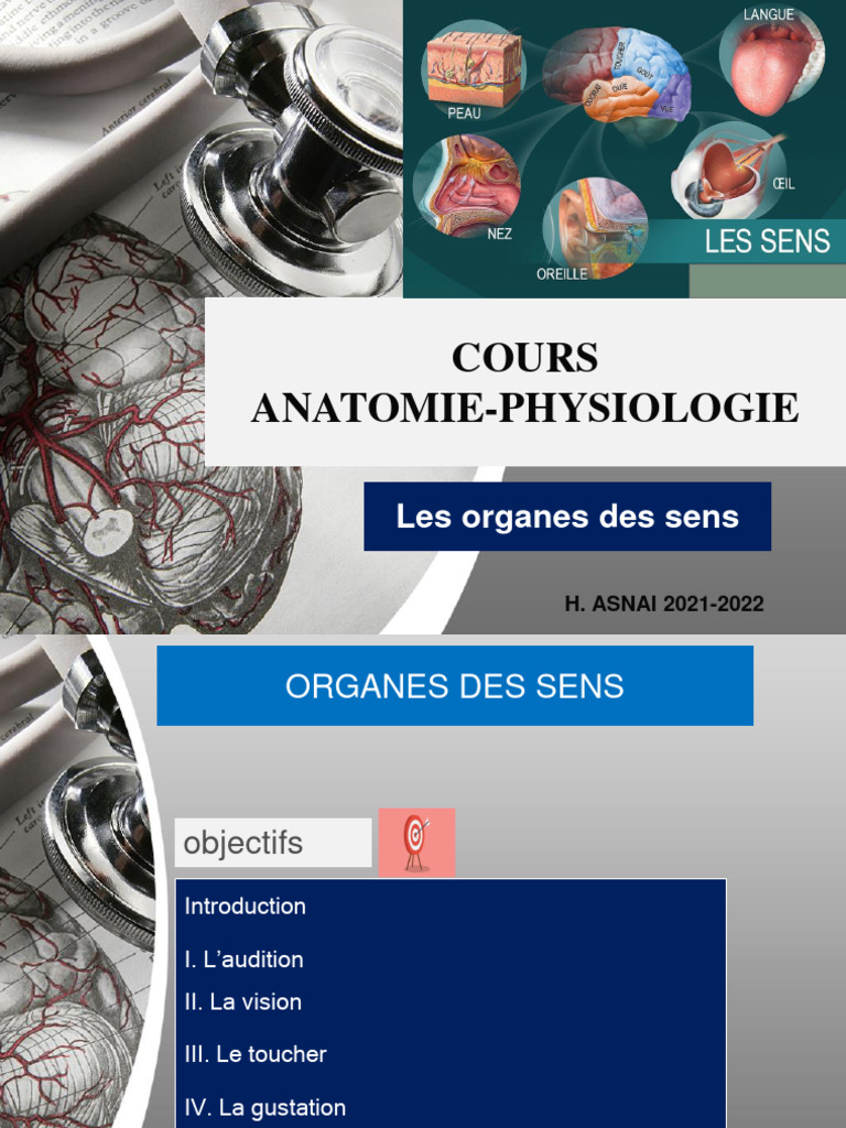 Anatomie et Physiologie des Sens | PDF | Système vestibulaire | Oreille