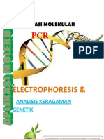 Aplikasi Molekuler PCR ELECTROPHORESIS & Analisis Keragaman Genetik