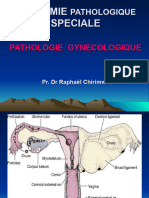 Gynecopathologie 1
