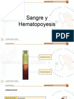 Sangre y Hematopoyesis