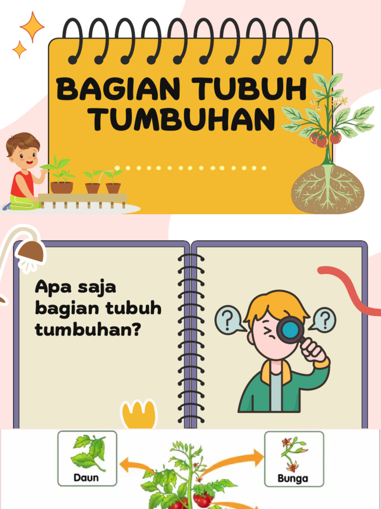 Bagian Tubuh Tumbuhan | PDF