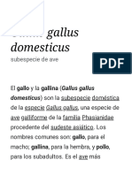 Gallus Gallus Domesticus - Wikipedia, La Enciclopedia Libre