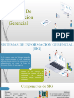 Sistemas de Informacion Gerencial 