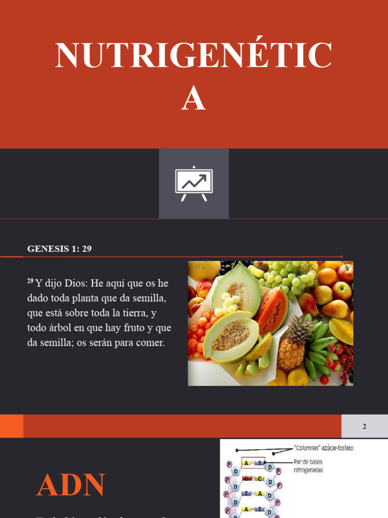 Nutri A PDF Adn Metabolismo