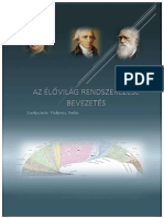 1.1.1. A Rendszerezés Alapjai