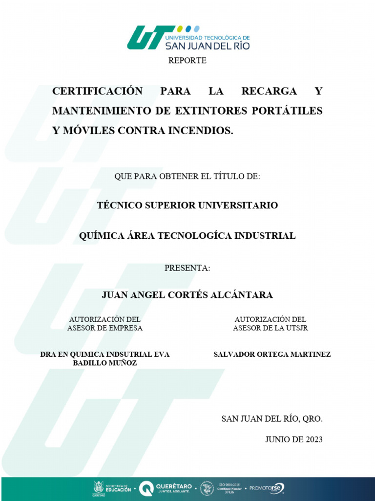 reporte-pdf-business