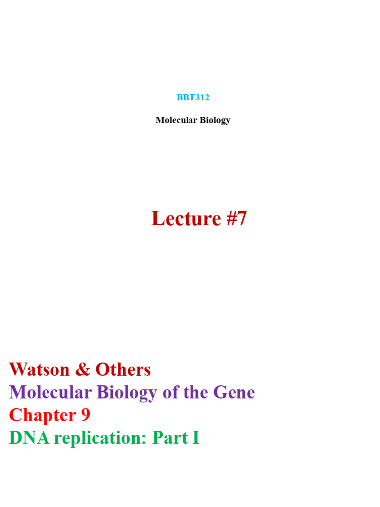 Lecture 7 BBT312 DNA Replication Part I PDF Dna Replication