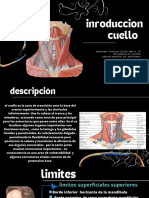 Inroduccion Cuello