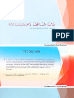 Patologías esplénicas