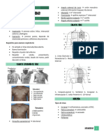 Resumen Semio - Pulmonar Full