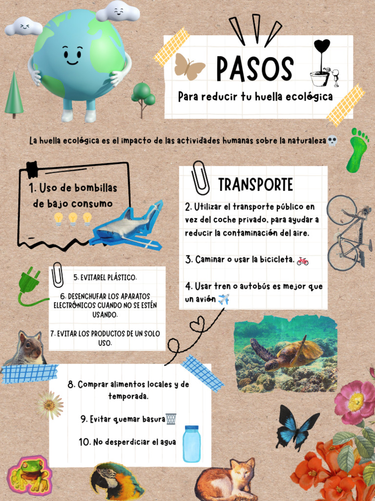 10 Acciones para Reducir la Huella Ecológica | PDF | Ciencia y matemáticas