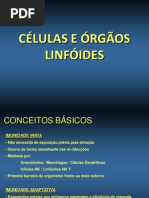Aula 3- Células e órgâos