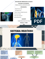 Sistema Nervisoso Fisiologia