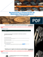 Restauración y Conservación de Materiales Paleontológicos II. Registro de Colecciones