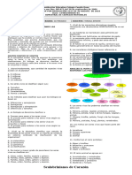 BIMESTRALES de C. Naturales 6° III PER.