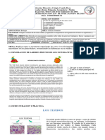 Guia de C. Naturales 6° Ii Per 2019