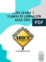 Aldea Global 1 Escuela de Conducciòn ABICE LTDA - La Organizaciòn Como Organismo