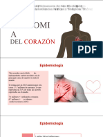 Anatomía Del Corazón