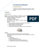 Tema 8. Tecnicas Multibrackets