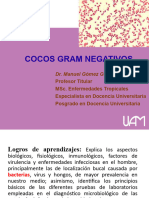 Neisserias, Haemophilus y Otras Gram