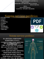 Sistema Nervioso Periférico