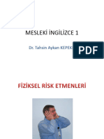 Eng Phys Risk 1