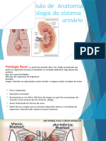 Revisão de Anatomia 1