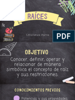 Raíces