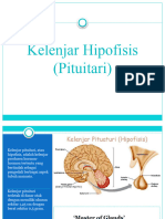 Kelenjar Hipofisis Biologi Kelas 11