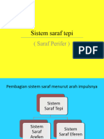 Sistem Saraf Tepi Perifer Biologi Kelas 11