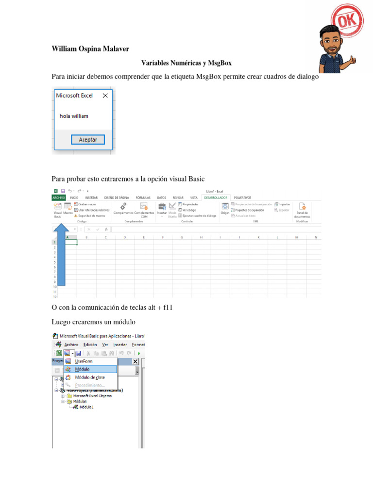 Variables Numéricas en Visual Basic | PDF
