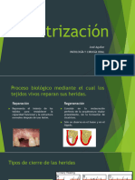 Cicatrización