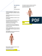 Anatomia, Terminos Anatomicos, Generalidades.