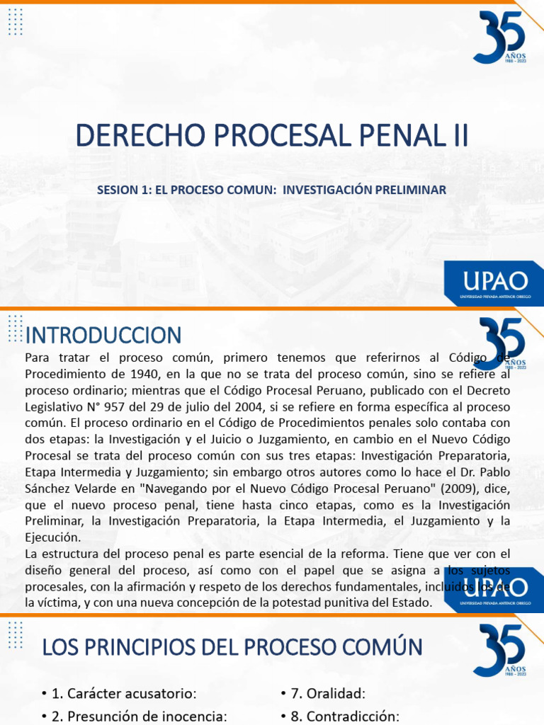 Derecho Procesal Penal Ii | PDF