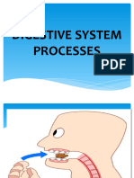 Digestive System Processes