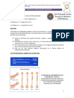 4.-Proceso de Consolidacion Lour