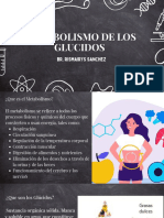 Metabolismo de Los Glúcidos