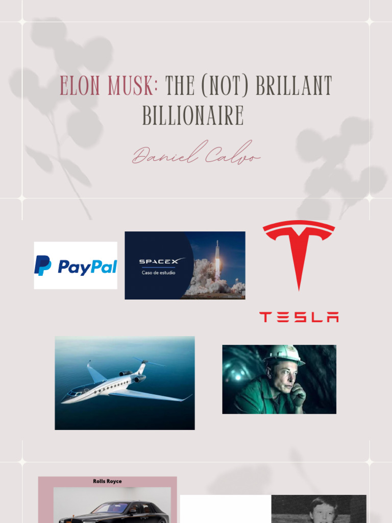 Elon Musk PDF