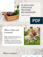 Plants and Livestock Weather Relationship PDF