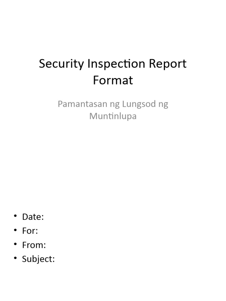 Security Inspection Report Format | PDF