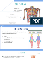 Anatomía Del Tórax Final