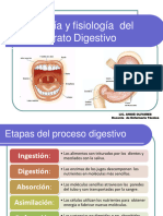 Aparato Digestivo