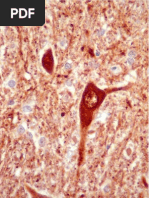 ..%5Crevista%5CsaudeIII%5C1