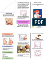 Leaflet Perawatan Payudara