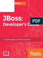 JBoss - Developer's Guide