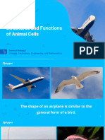 Structures and Functions of Animal Cells - 030031